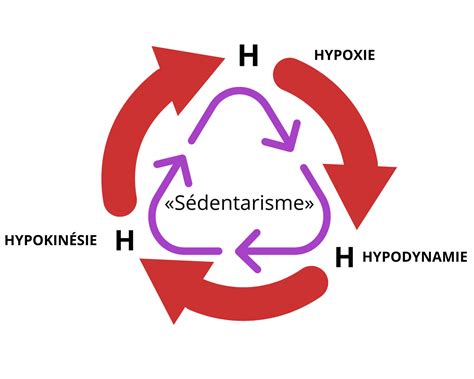 Le Cercle Vicieux De La S Dentarit Invivo Coaching