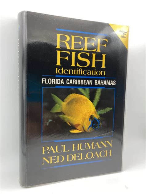 Reef Fish Identification Florida Caribbean Bahamas Paul Humann Ned