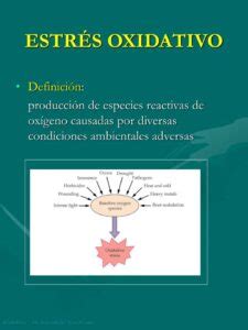 Que Es El Estr S Oxidativo Y Que Lo Provoca Porestr S