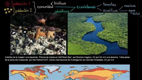 Ecosistemas Y Biomas Ecología Biología Khan Academy En Español