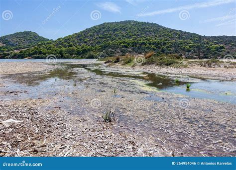 View Of The Famous Wetland At Vravrona At Attica Mesogeia Greece