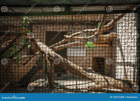 Empty zoo cage stock photo. Image of closed, prison - 123212288