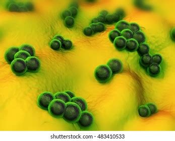 Mrsa Bacteria