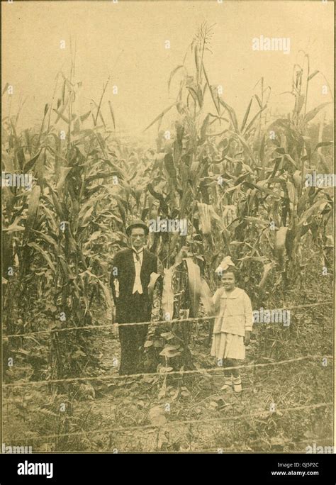 Jefferson County and Birmingham, Alabama (1911 Stock Photo - Alamy