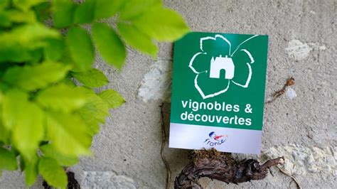 Vignobles D Couvertes Office De Tourisme De Vend Me