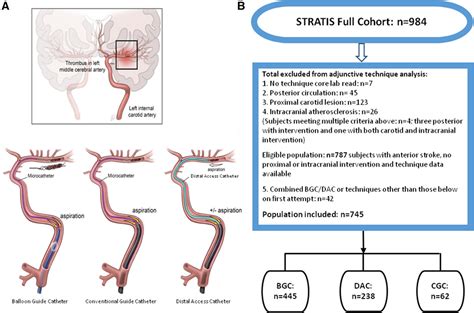 Impact Of Balloon Guide Catheter Use On Clinical And Angiographic