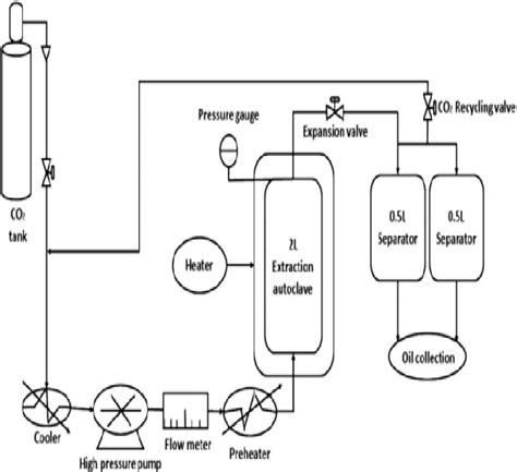 Figure 1 From Study Of The Effect Of Supercritical Extraction