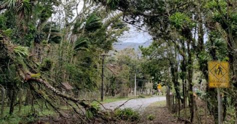 Defesa Civil Atende Ocorrências De Deslizamento E Queda De árvores Em