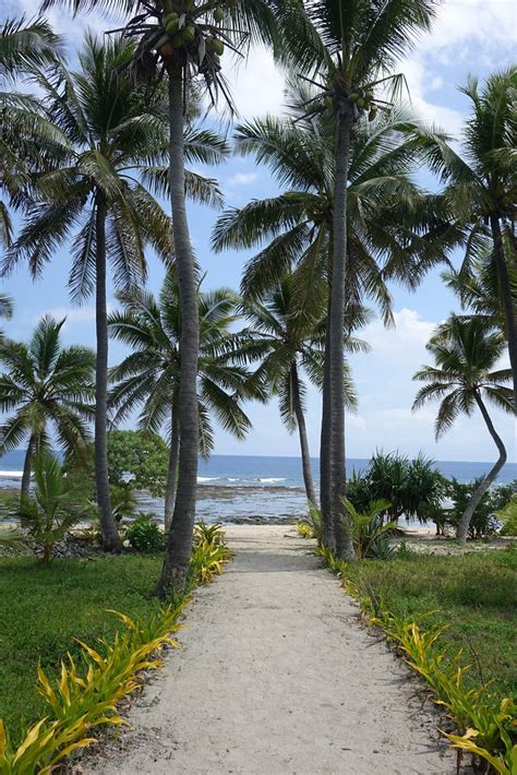 DSC06555 Alofa Bungallows Île de Tanna Vanuatu Samenargentine