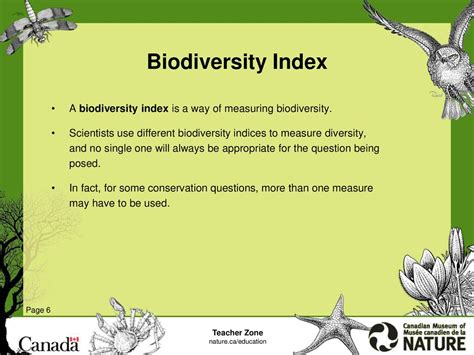 Measuring Biodiversity Ppt Download