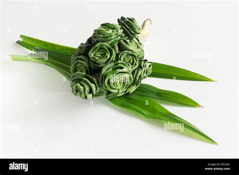 Fresh Pandanus Leaf Weave To Rose Bouquet On White Background Stock