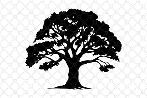 Tree Svg Tree Silhouette Svg Graphic By Celestialdesignforge