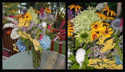 My Petal Press Garden Blog: Late Summer Early Fall blooming Perennials