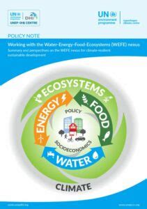 Working With The Water Energy Food Ecosystems WEFE Nexus