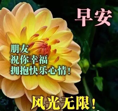 星期二问候大家早上好祝福图片，走心的早安问候语句子短信 每日头条