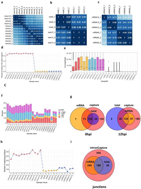 Intron Capture Rna