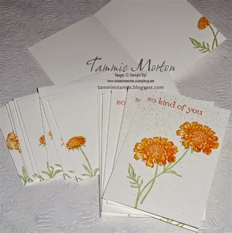 Tammie Stamps Field Flowers Stamp Set