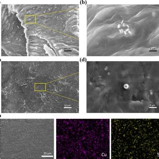 Morphological And Structural Characterization Sem Images Of Cus Pu