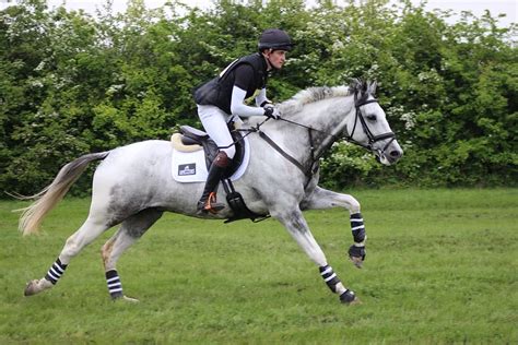 Horse And Rider Galloping