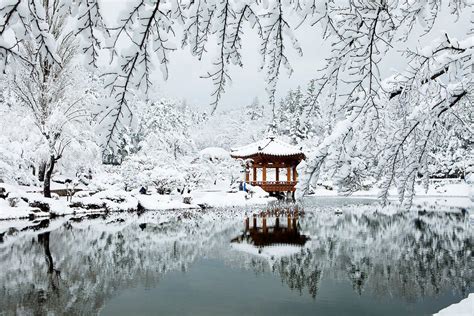 korea winter travel (1) - Living + Nomads – Travel tips, Guides, News & Information!