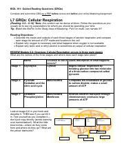 Mastering Cellular Respiration Grqs Study Tips Course Hero