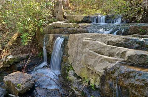 10 Best Hikes and Trails in DeSoto State Park | AllTrails