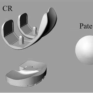 Patellofemoral Kinematics During Knee Flexion CR Cruciate Retaining