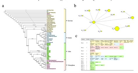 Phylogenetic Analysis And Species Delimitation In Cucumbers A The Ml