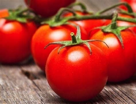 Tomato Seeds 50 Red Russian Tomato Seeds Vegetable Seeds Heirloom