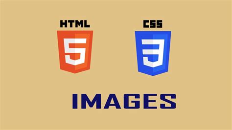 Html5 And Css3 Tutorial For Beginners 8 Images YouTube