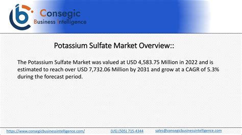 Ppt Potassium Sulfate Market Growth Trends Powerpoint