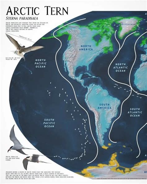 Cool Maps Every Day On Instagram Habitats In Green And Yellow And