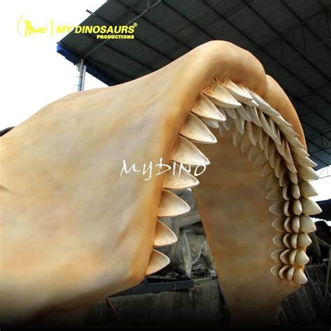 Museum Replica Megalodon Shark Jaw Skeleton for Sale