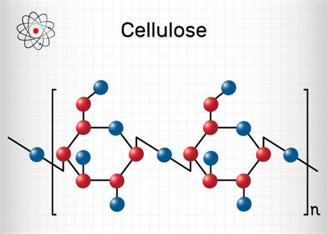 Polysaccharide Illustrations Royalty Free Vector Graphics And Clip Art Istock