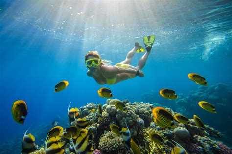 7 Best Snorkeling Spots in Florida - Your Ultimate Guide