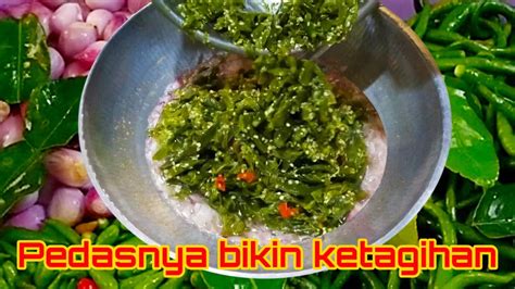 Sambal Ijo Resep Dari Warung Pecel Lele Yang Pedas Nya Bikin Ketagihan