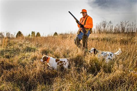 QUAIL HUNTING | Willow Oak