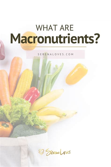 What Are Macronutrients Everything You Need To Know Serena Loves