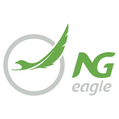 NG Eagle Airline | Reliable & Affordable Flights in and out of Nigeria ...