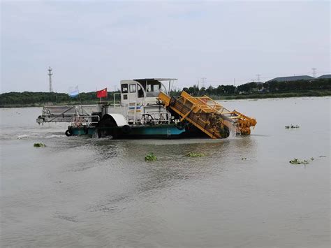 多措并举，共克时艰，区河湖中心全力保障河湖生态环境图片新闻水务局上海市青浦区人民政府