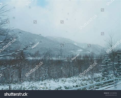 Ski Resort Sapporo Kokusai Stock Photo Shutterstock