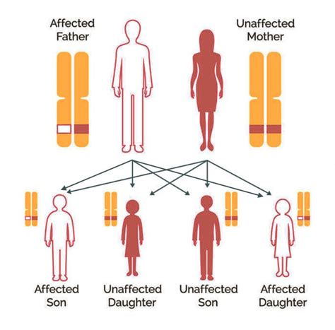 Breast Cancer Gene Test