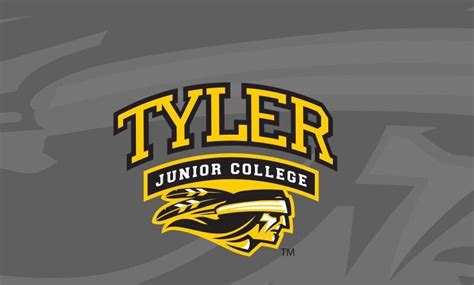 TJC Apache Ladies outkick Blinn, 7-1 | College | tylerpaper.com