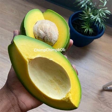 Jual Alpukat Segar 1 Kg Fresh Avocado 1 Kg Shopee Indonesia