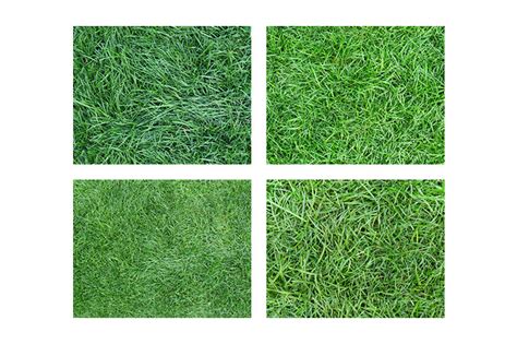 Green Grass Texture Photoshop|Grass Photoshop Texture – Full Bundle