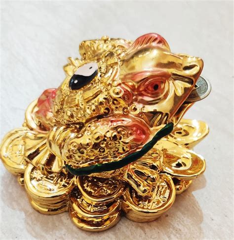 Buy Money Vastu Fengshui Stone Gift Product Collection FENG Shui King