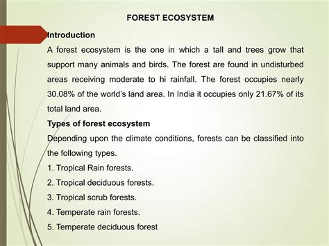 Lecture 5ppt Food Chain Food Web Ecological Pyramids PPT