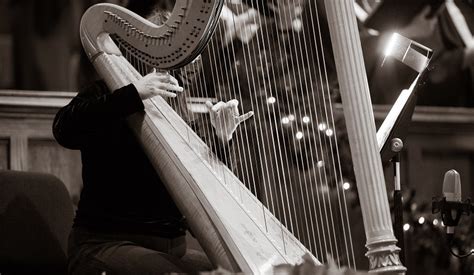 All Types Of Harps Uses Features Examples Atelier Yuwa Ciao Jp