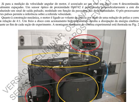 Polo Positivo E Negativo