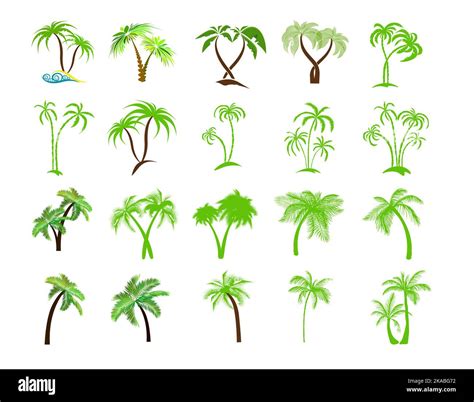 Palm Trees Set Palm Leaves Elements Vector Illustration Stock Vector